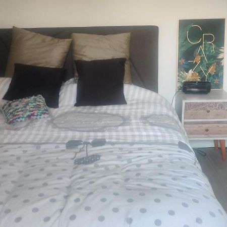 Logement Cosy Neuf Avec Jardin Mions المظهر الخارجي الصورة
